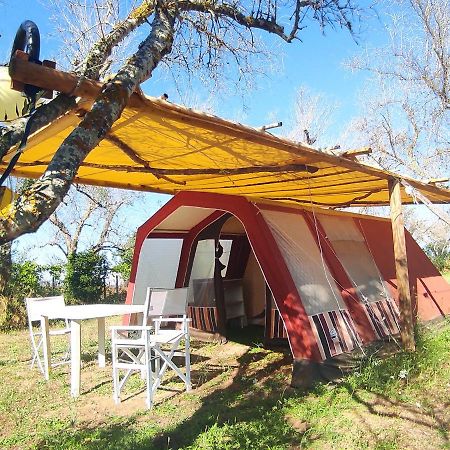 Отель Camping Terreno-Ro-Bi-Li Кутрофьяно Экстерьер фото