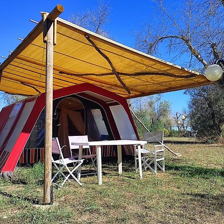 Отель Camping Terreno-Ro-Bi-Li Кутрофьяно Экстерьер фото