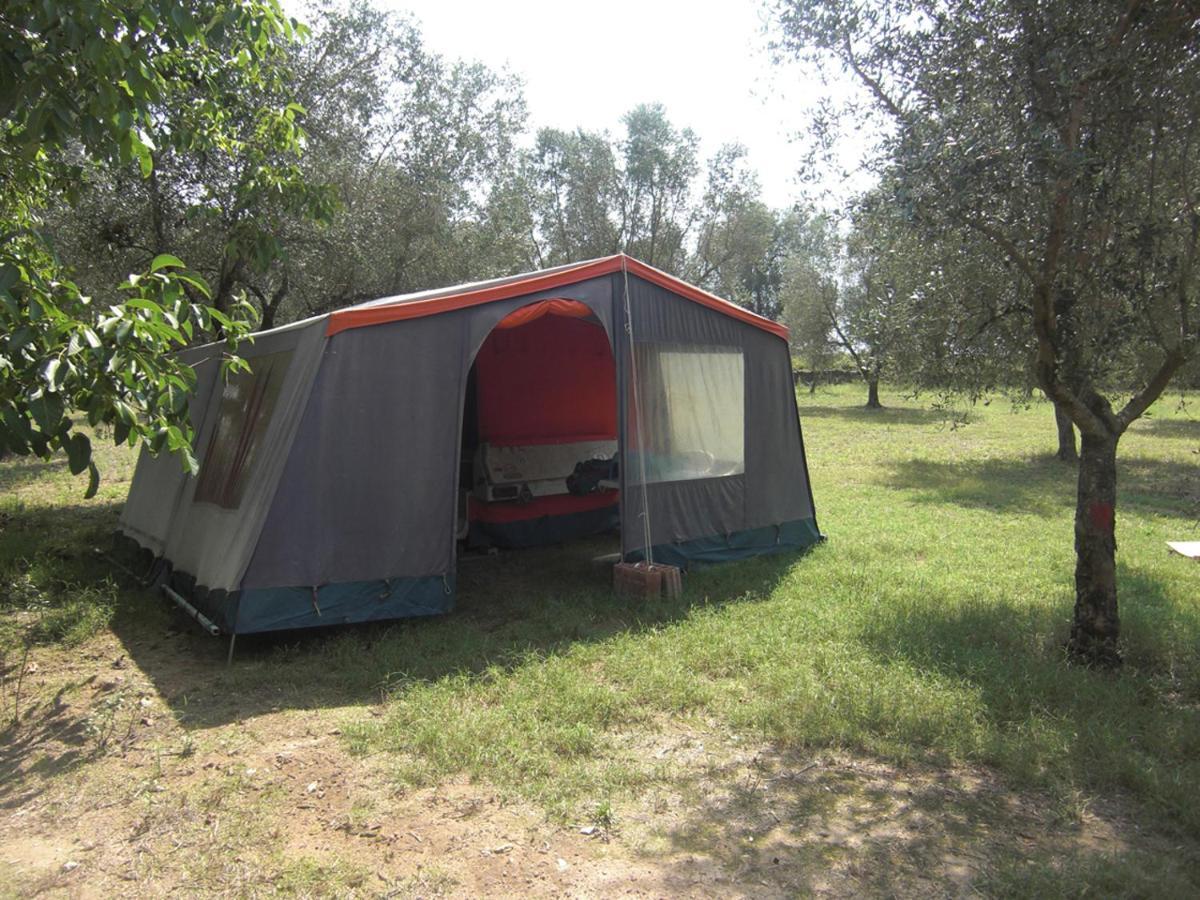 Отель Camping Terreno-Ro-Bi-Li Кутрофьяно Экстерьер фото