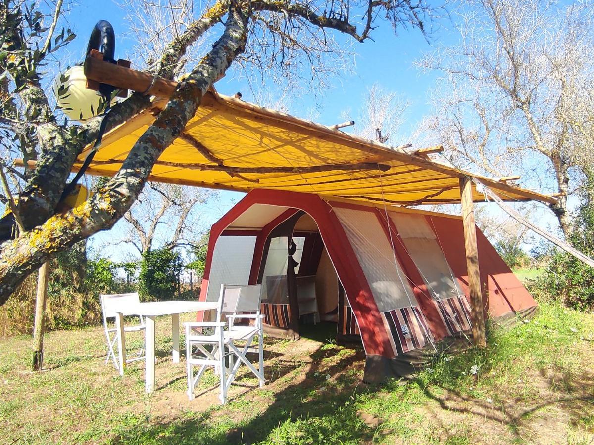 Отель Camping Terreno-Ro-Bi-Li Кутрофьяно Экстерьер фото