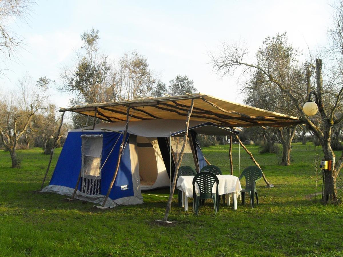 Отель Camping Terreno-Ro-Bi-Li Кутрофьяно Экстерьер фото