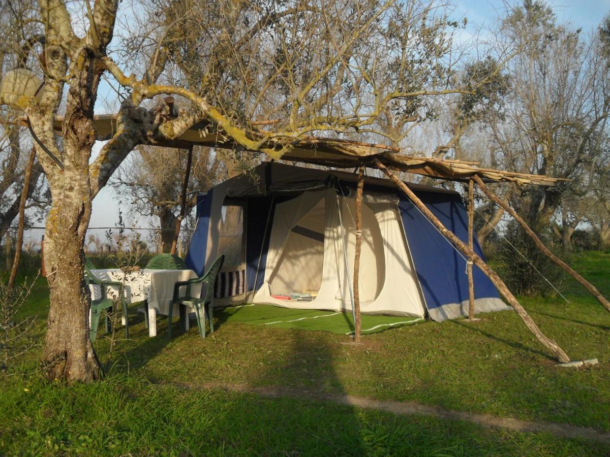Отель Camping Terreno-Ro-Bi-Li Кутрофьяно Экстерьер фото