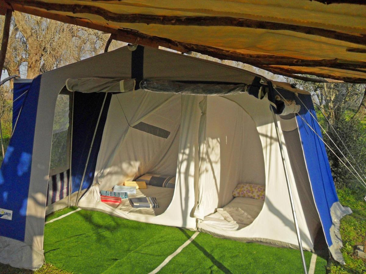 Отель Camping Terreno-Ro-Bi-Li Кутрофьяно Экстерьер фото